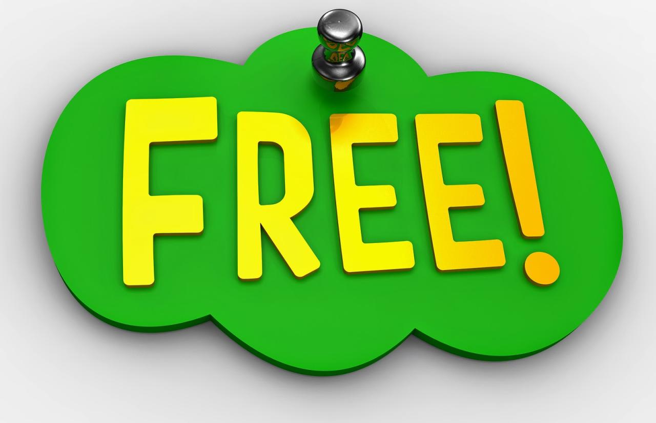 B€ ¥ØUR ØWN BØ$$: FREE TIPS